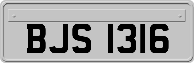 BJS1316