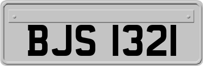 BJS1321