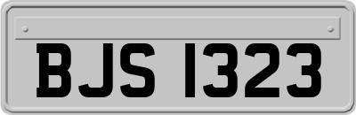 BJS1323