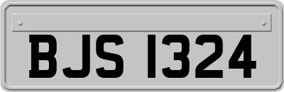 BJS1324