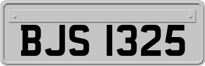 BJS1325