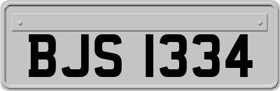 BJS1334