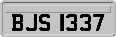 BJS1337