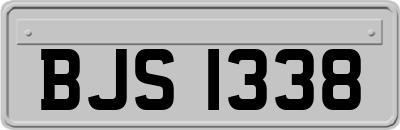 BJS1338
