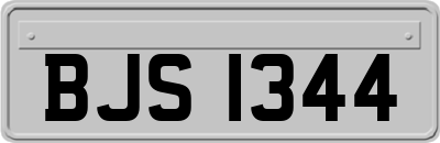 BJS1344
