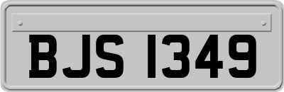 BJS1349