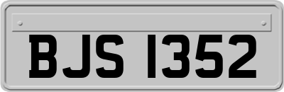 BJS1352
