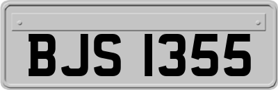 BJS1355