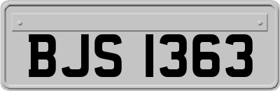 BJS1363