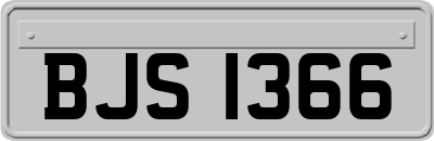 BJS1366