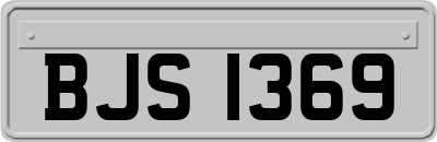BJS1369