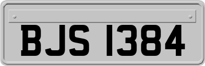 BJS1384