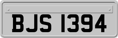 BJS1394