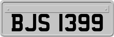 BJS1399