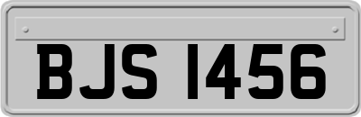 BJS1456