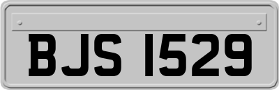 BJS1529