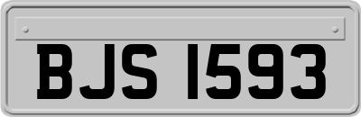 BJS1593