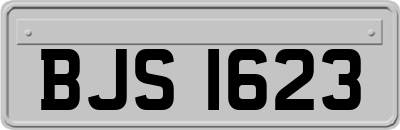 BJS1623