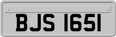 BJS1651
