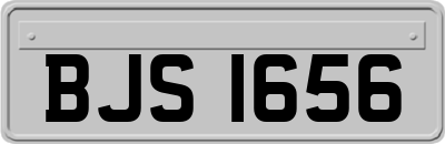 BJS1656