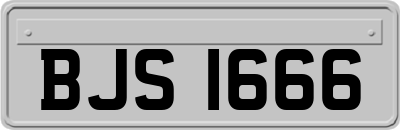 BJS1666