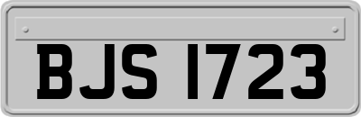 BJS1723