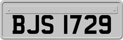 BJS1729
