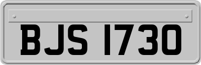 BJS1730