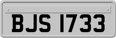 BJS1733