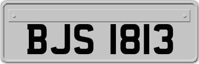 BJS1813