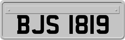 BJS1819
