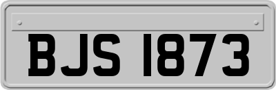 BJS1873
