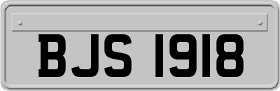 BJS1918
