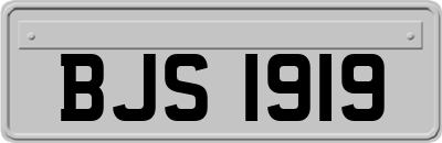 BJS1919