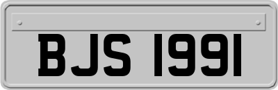 BJS1991