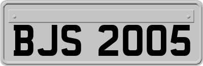 BJS2005
