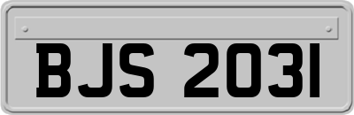 BJS2031