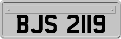 BJS2119