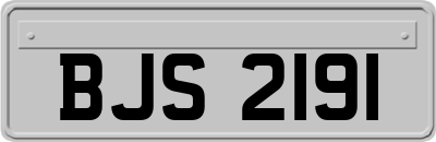 BJS2191
