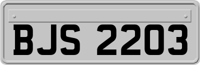 BJS2203
