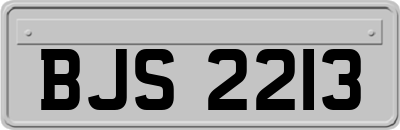 BJS2213
