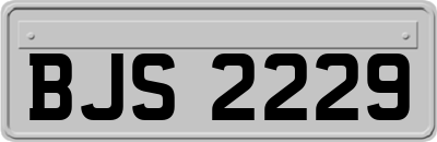 BJS2229