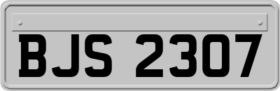 BJS2307