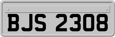 BJS2308
