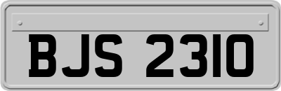 BJS2310