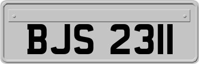 BJS2311