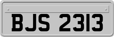 BJS2313