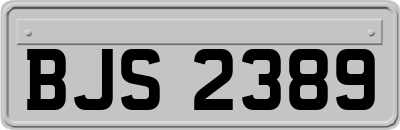 BJS2389