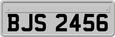 BJS2456