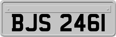 BJS2461